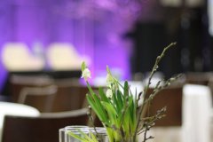 IMG_7617